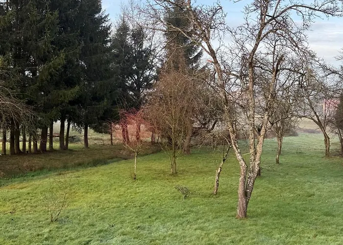 La Bulle D Avenir 公寓 Corcieux