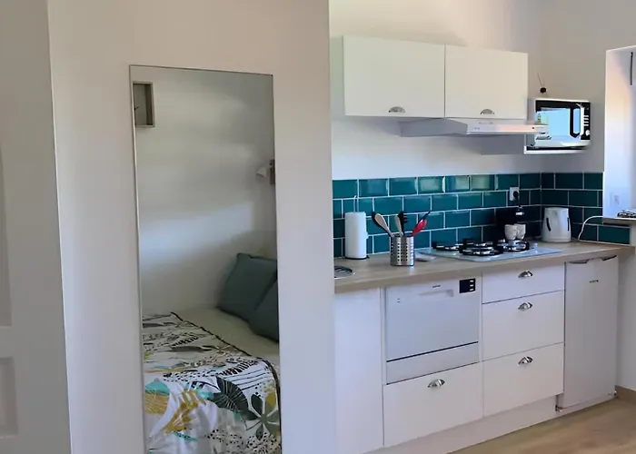 La Bulle D Avenir 公寓 *